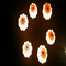 6 Lights
