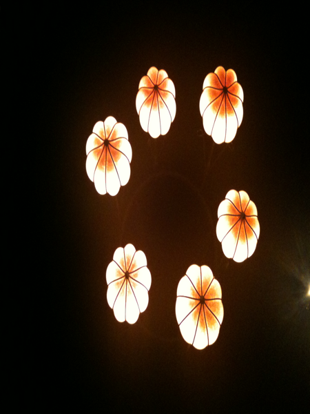 6 Lights
